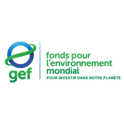 FEM/GEF