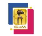Guinéenne de Monétique (GuiM)
